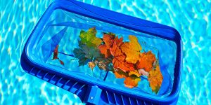 Swimming Pools: A Seasonal Maintenance Guide